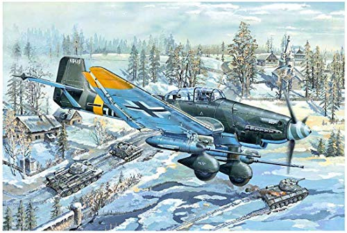 Trumpeter 1/24 Junkers JU 87G2 Stuka, verschieden