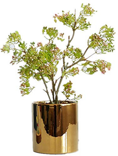 ZENGYUAN, pianta grassa in Vaso con Foglie Verdi per Piante grasse, Decorazione da Tavolo, per Interni e salotti B