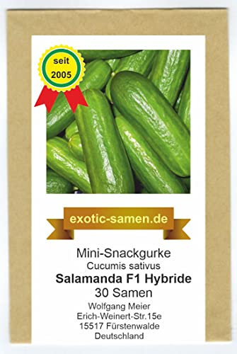 Mini-Snackgurke – Salamanda F1 – 12 cm lang – auch im Kübel – 15 Samen