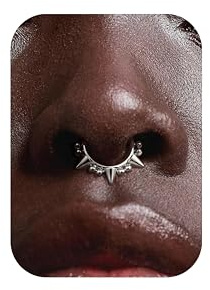 BodyBonita 16G Piercing Septum con Pinchos Acero Inoxidable 316L Piercings Nariz Aro Piercing Helix Tragus Hombre Mujer Daith Conch Rook Oreja Pendientes Aros Plata 10mm Estilo Diez