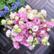 500 semillas de rosa sin espinas Eustoma - Semillas de flores Lisianthus multicolor para jardín y balcón - perfectas para flores cortadas, decoración y ramos de flores DIY (rosa 1)