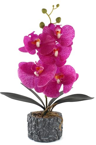 ginojex Orchidea artificiale realistica Phalaenopsis con vaso di cemento, centrotavola, decorazione per casa, bagno, hotel, ufficio (viola, alta 38,1 cm)