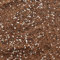 Universal Houseplant Potting Mix With Perlite, Indoor Plant Soil For Repotting (1L)