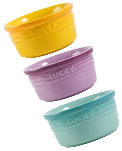 Lot de 3 ramequins en céramique - Ramequins en porcelaine - Bols à cupcakes - Tasses à sauce soja - Bols à dessert pour pudding, crème pâtissière, crème brûlée, ramequins