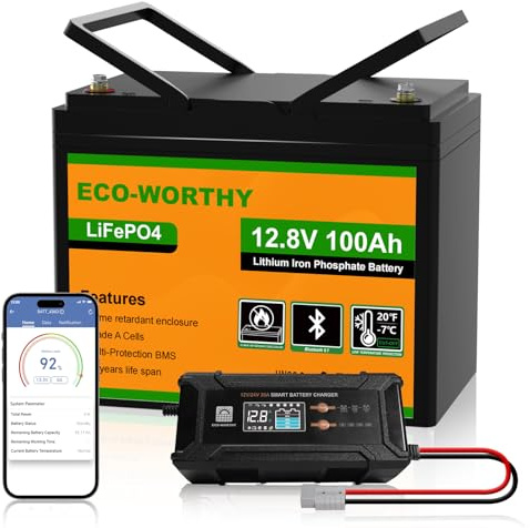 ECO-WORTHY 12V 100Ah LiFePO4 Bluetooth mit 12/24V 20A Ladegeräte,Lithiumbatterie 12V 100AH mit BMS Low Temperature Schutz für Wohnmobil,Boot,Wohnwagen