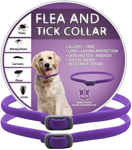 2 PCs Collar Dog,Adjustable Collars for Dogs, Suitable for Dogs over 30 Weeks,65CM