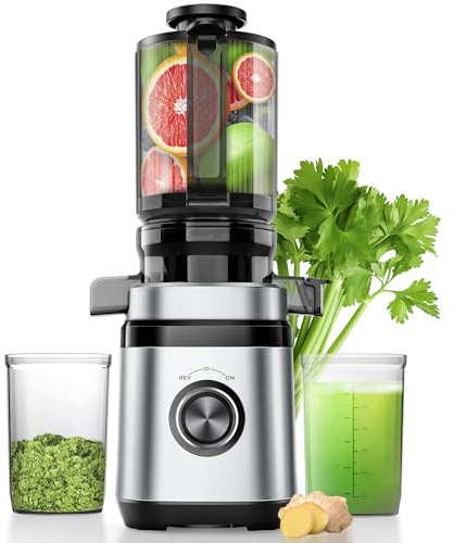 Entsafter, Slow Juicer, Entsafter Gemüse und Obst Testsieger mit | 350W DC-Ultrasilent-Motor | 110MM Einfüllöffnung | 2 Tassen | Saftpresse Elektrisch,Silber