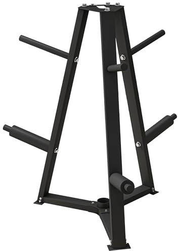 SPORTNOW Support de poids pour plaques support de barre d'haltère rack de rangement pour plaques de poids arbre de poids olympique capacité max. 300 kg