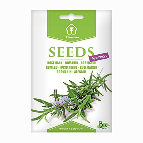 Rosmarin, Samen von Minigarden, enthält zwischen 160 und 100 Samen