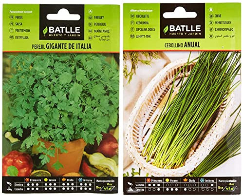 Perejil GIGANTE DE ITALIA & Cebollino anual