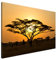 Estika Leinwand bilder - Savanne, Akazie, Sonnenuntergang - 120x80 cm, 1 teilige kunstdruck - Wandbilder wohnzimmer, schlafzimmer, Moderne wanddeko, Bild auf leinwand - Afrika bilder - 1249A_1B