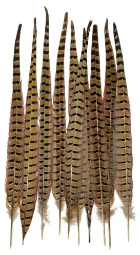 20pcs 16-18 Natural Pheasant Feathers Pheasant Tail for Crafts DIY Party Costume Hats Decoration