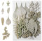 21 Piezas de Hojas Secas Prensadas Naturales, Conjunto Decorativo de Flores Secas Reales,Naturales Flor Prensada Mezclada, Artesanía,Manualidades, Decoraciones de Uñas y Adornos Navideños