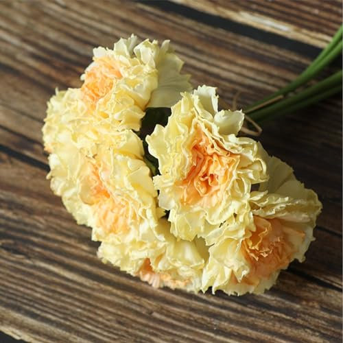 Liuyoyo - Claveles Artificiales de 11.0 In, Flores Hidratantes Quemadas, Claveles, Ramo de Hortensias para Arreglos Funerarios, Ramos de Boda, Coronas de Cementerio(#5)