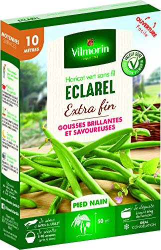 VILMORIN - Haricot Eclarel Extra-Fin - Couleur Vert Brillant - Pieds Nains - Variété Très Productive - Gousses Savoureuses sans Fil ni Parchemin - Boîte de 225 graines pour 10 mètres de Haricots