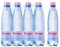 BIRUTE Natürliches Mineralwasser mit Kohlensäure 500 ml (12er Pack) Für maximale Hydratation, Reich an Essenziellen Mineralien wie Calcium, Magnesium, Perfekt Ausgewogene Natürliche Elektrolyte
