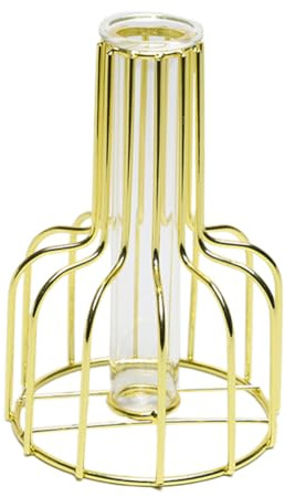 BIUDECO Jarrón de Vidrio Tubo de Prueba, Soporte de Metal Dorado, Doble Tubo, para Plantas Hidropónicas, Adorno de Hogar y Oficina