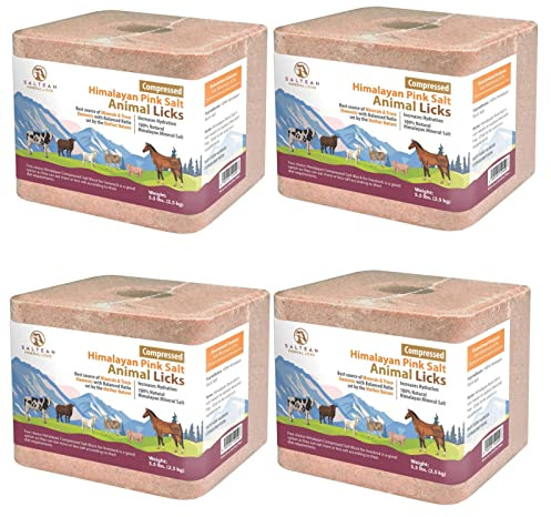 SALTEAN Compressed Himalayan Horses Lick Natural Pink Salt,For all Animals(2.5 kg) Salt Range Pakistan (PACK OF 4)