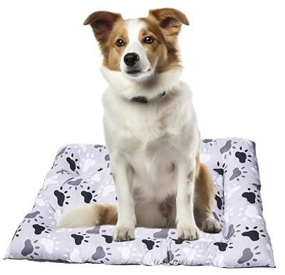 Eden & Willow Soft Dog Bed Mat, Plush Mattress Bed Ideal for Small and Medium Dogs and Cats (Medium 60x80CM)