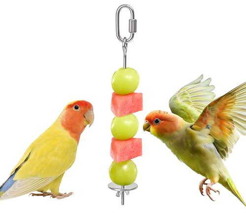 Fågelbur Matspett Rostfritt Frukthållare | Fågelmat Hållare För Foderletning I Bur Till Nymfkakadua Conure Finkar Tvillingpapegojor Och Smådjur