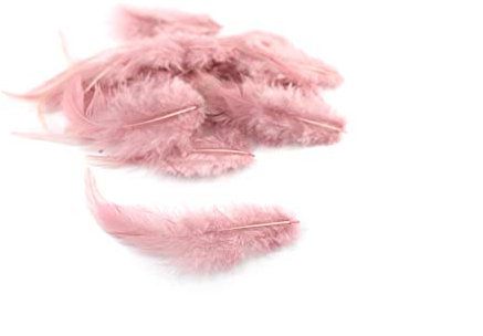 3g Hahnenkreuz Federn ca. 8-13cm (altrosa 158) // Dekofedern Bastelfedern Federn Hahn Natur Schmuckfedern Vogelfedern Hahnenfedern