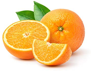 Large Citrus Tree - Orange - 1 x Extra Large Plant in 5L Pot (90-110cm) - Orange Tree - Stunning Plant