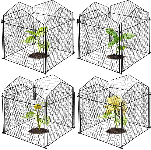 DECOHS 4 Packungen Hühnerdraht-Glocken-Pflanzenschutz von Tieren, Gartenpflanzenkäfig, Schutz – Drahtpflanzenschutz, um Tiere draußen zu halten
