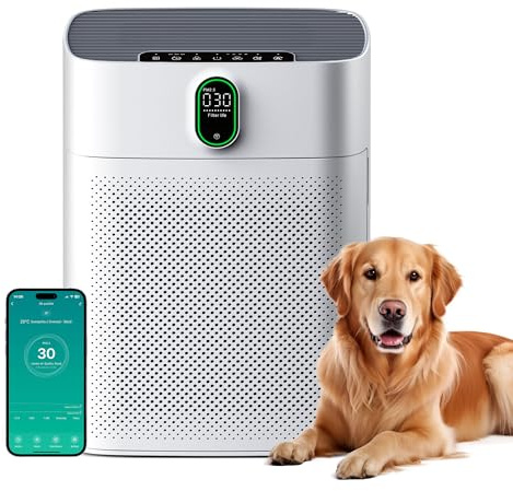 MERONTE Luftreiniger für Allergiker, Air Purifier für Raucherzimmer, HEPA Filter Gegen Staub Pollen, CADR 300 m³/h für 100 m², 24 dB, Timer, Luftqualitäts-Feedback & Automodus, Mattweiß, 1 Pack+3 Modi