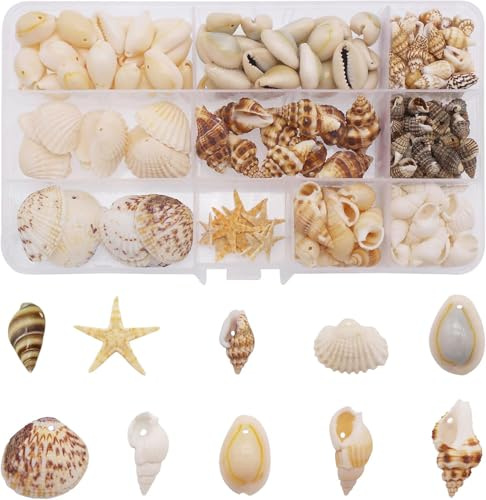 yaokan 10 Styles Natural Sea Shells & Starfish Set - Assorted Pre-Drilled Beach Seashells for DIY Crafts, Home Decor, Jewelry Making & Wedding Party Decorations