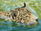 DIAMOND DOTZ DQ8.012 - Original 5D Diamond Painting Squares Set Dschungel Prinz, Kreativset mit 17.595 quadratische Diamant Mosaiksteinen, Malset ca. 31 x 41 cm für Erwachsene und Kinder ab 8 Jahren