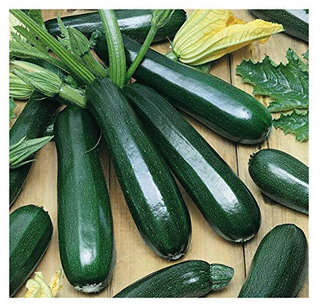 - zucchine Zucchine - ezza nera - 50 semi - Zucchine - NPWS:Graines