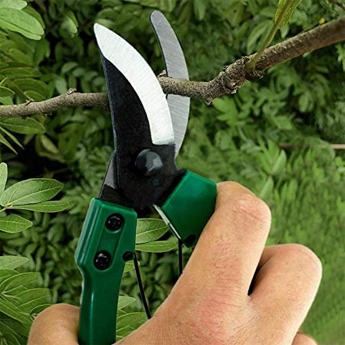 GZSLKSCD Sécateur, cisaille à Arbres - Ciseaux idéaux pour la Taille des arbustes et des rosiers, Outils de Jardinage ergonomiques