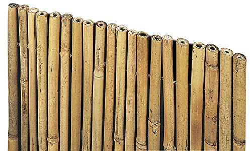 Arella Bambu River 2 x 3 , Stuoia Bamboo Filo Passante , Arella Bamboo da Esterno