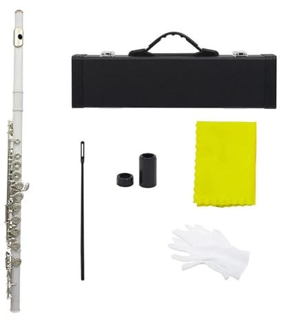 tvärflöjt instrument Nybörjarflöjt 16 hål C-nyckel Nybörjare som spelar instrument(White)