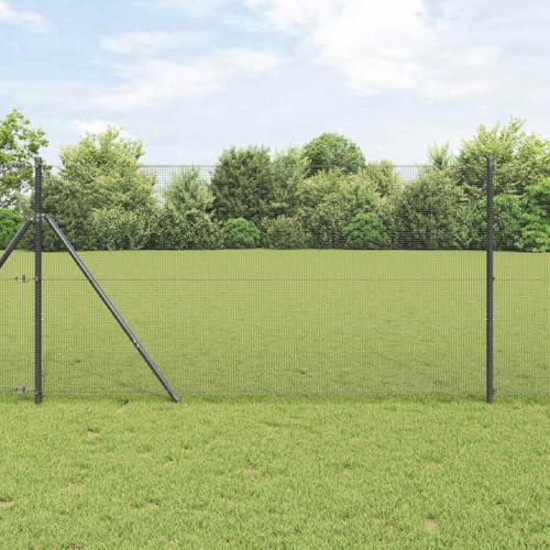 Recinzione per il cortile, recinzione a rete metallica, recinzione protettiva per la privacy, recinzione decorativa da giardino, recinzione con palo grigio 1 x 100 m in acciaio per balcone, pubblico