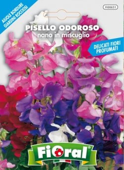 Sementi da fiore di qualità in bustina per uso amatoriale (PISELLO ODOROSO NANO IN MISCUGLIO)