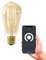 CALEX Smart LED Lampe, E27, ST64, Gold Filament, warmweißes Licht, dimmbar, WLAN App- & Sprachsteuerung