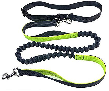 Aiqeer Grau Freihändige Hundeleine, Verstellbarer Hüftgurt und Dehnbare Bungee-Leine, Jogging Hundeleine mit Reflektierenden Nähten (Grün Griff)