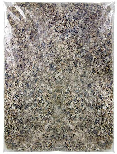 SQUAWK Hen Sized Oyster Shell | Premium Grade Poultry Food Mix | Nutritious Feed for Chicken Hen Animals | Natural Grit Mixture | Improves Digestion, Strong Bones & Beaks and Size of Eggs (1kg)