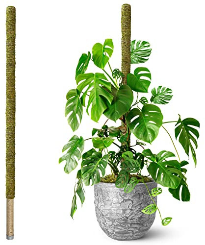 DUSPRO 80 Large Stackable Moss Pole for Plants Monstera, (1pc., 80'')