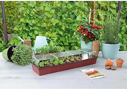 SOGO venterbank Serre avec 30 Pots de Tourbe