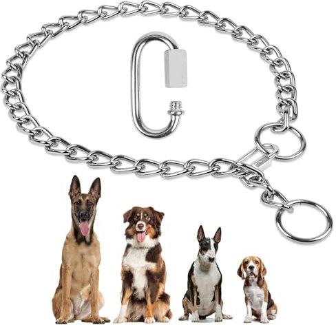 AUAUY Kettenhundkragen, Edelstahl Hundehalskette, Verstellbare Hunde Halsband mit Verbindungsverschluss, Hunde Kette zum Hundetraining, Halskette P-Kettenkragen für Hunden (L: 65 cm, Ø 4,0 mm)