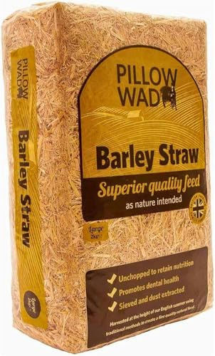 Homesecret 2kg Pack of 1 Premium Barley Straw Pet Bedding | Soft Pillow Wad for Rabbits, Tortoises & Small Pets | Natural, Eco-Friendly and Cosy Bedding for Everyday Pet Comfort.