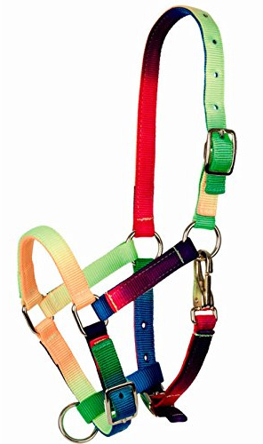 Tattini Halter for foal