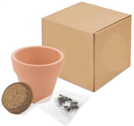 DISOK - Lote 15 a 60 Macetas Terracota Semillas en Caja. Detalles de plantas para bodas, regalos de macetas con plantas en boda, bautizos y comuniones. (45)