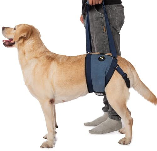 COODEO Pettorina per cani, imbracatura per sollevamento con supporto per zampe posteriori, per cani anziani e deboli dopo l'intervento chirurgico (XL, Blu)