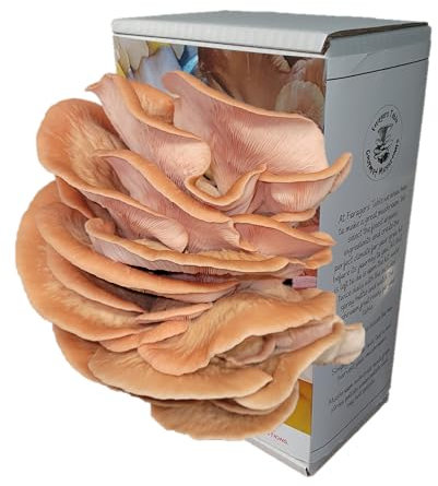 Pink Oyster Mushroom Growing Kit | Gardening Gifts - Ready to Grow Mushrooms Kit | Fun to Grow & Delicious to Eat | Pink Oyster Grow Kit | Grow Your Own Kits - Mushroom Gifts | Foragers Table