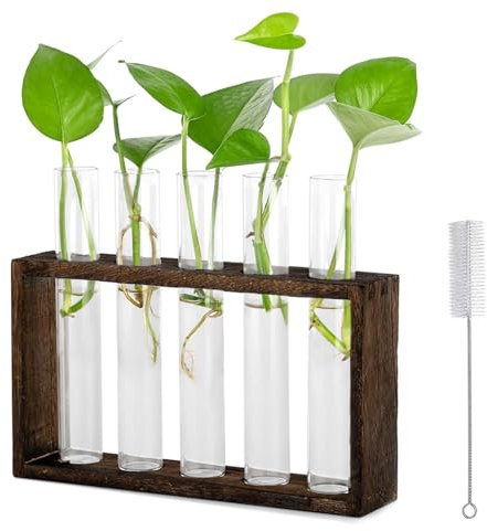 Tarocat Vintage Glas Reagenzgläser, Hydroponik Glasvase mit Holz Halter, Glas Reagenzglas Kleine Vasen, Ständer Holz Propagation Station für Tisch Oder zum Aufhängen (5 Stück, Retro-Farbe)