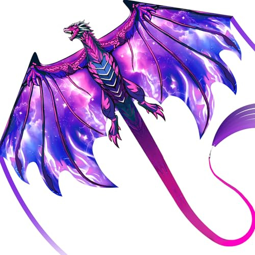 SGftre Aquilone completo con manico, filo e accessori, facile da far volare per bambini e adulti, perfetto per spiaggia, parco, attività all'aperto in famiglia (Speed Dragon Purple, 1)
