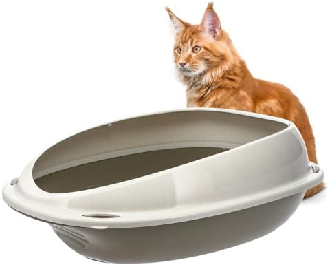 GarPet Katzenklo ohne Deckel 57x40x19 cm Katzentoilette mit Rand Katzen WC Schalentoilette grau oval hygenisch